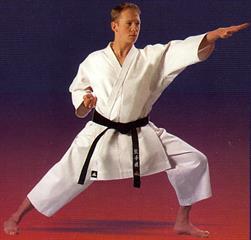 کاراته تکنيک عملي جنگيدن با دست خالي است
